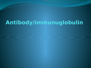 Antibody/immunuglobulin