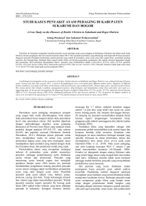 studi kasus penyakit ayam pedaging di kabupaten