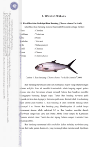 2. TINJAUAN PUSTAKA 2.1 Klasifikasi dan