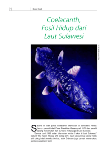 Coelacanth, Fosil Hidup dari Laut Sulawesi