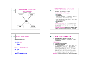 metb. protein dan asam amino