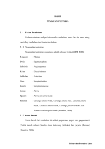 BAB II TINJAUAN PUSTAKA 2.1 Uraian Tumbuhan Uraian
