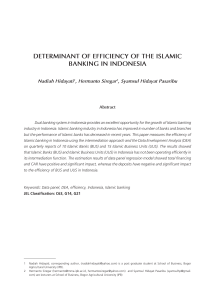 determinant of efficiency of the islamic banking in indonesia