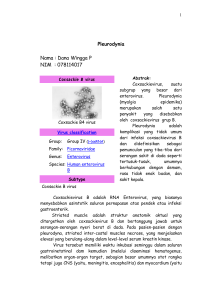 Coxsackievirus B