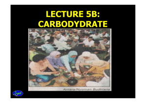 lecture 5b: carbodydrate