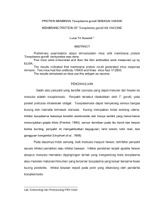 PROTEIN MEMBRAN Toxoplasma gondii SEBAGAI