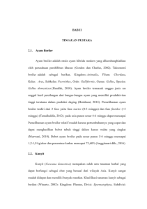 BAB II TINJAUAN PUSTAKA 2.1. Ayam Boriler Ayam