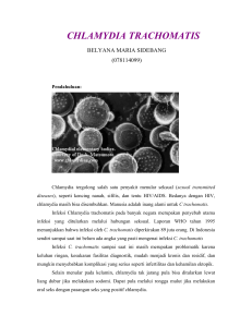 chlamydia trachomatis - MIKROBIOLOGI FARMASI INDONESIA