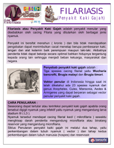 Filariasis atau Penyakit Kaki Gajah