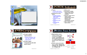 Metabolisme Protein