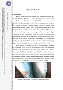 II. TINJAUAN PUSTAKA 2.1 Biologi Ikan Ikan nila