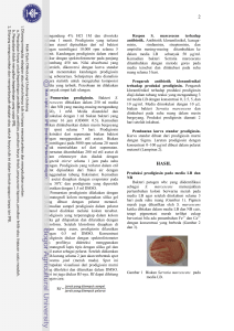 Prodigiosin Production on Bacterial Growth Media