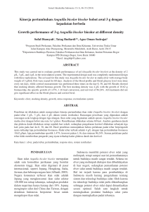 Kinerja pertumbuhan Anguilla bicolor bicolor bobot awal 3 g dengan