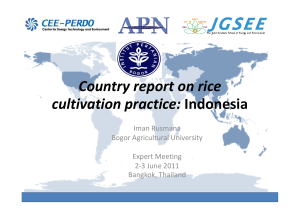 C i Country report on rice cultivation practice: Indonesia cultivation