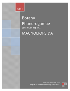 Botany Phanerogamae