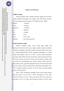 Profil ekhokardiografi motion-mode anjing