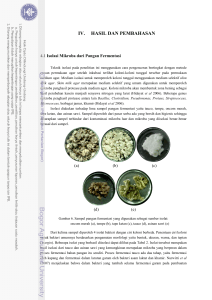 iv. hasil dan pembahasan