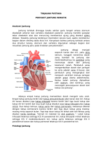 tinjauan pustaka penyakit jantung rematik