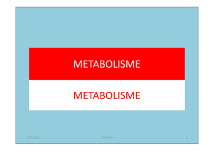 metabolisme metabolisme