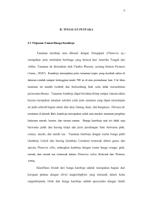 6 II. TINJAUAN PUSTAKA 2.1 Tinjauan Umum Bunga Kamboja