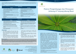 Potensi Pengembangan dan Pemasaran Jelutung di Tanjung