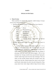 BAB II TINJAUAN PUSTAKA