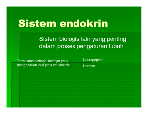 Sistem endokrin