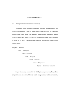 II. TINJAUAN PUSTAKA 2.1 Udang Vannamei (Litopenaeus