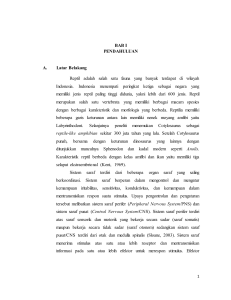 BAB I PENDAHULUAN A. Latar Belakang Reptil adalah