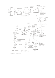CH2-OP Glukosa Glukosa-6 fosfat Fruktosa 6-P