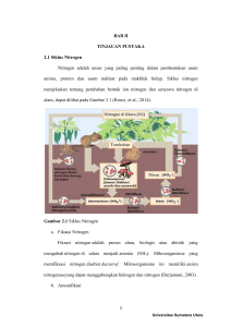 5 BAB II TINJAUAN PUSTAKA 2.1 Siklus Nitrogen Nitrogen adalah