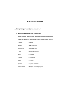 (Cyperus rotundus L.) 1. Klasifikasi Rumput Teki