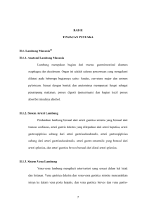 BAB II TINJAUAN PUSTAKA II.1. Lambung Manusia