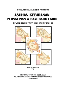 pemenuhan kebutuhan ibu bersalin