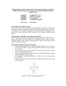 Menggambarkan Struktur Umum Transfer (Trna) Dan Menjelaskan