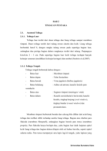 BAB 2 TINJAUAN PUSTAKA 2.1. Anatomi Telinga 2.1.1. Telinga