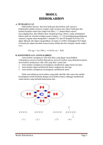 modul hidrokarbon