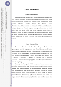 Seleksi daya hasil cabai (Capsicuum annuum L.) populasi F2 hasil