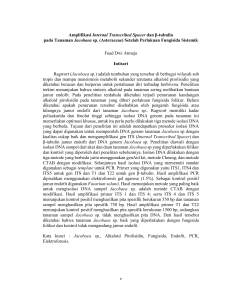 Amplifikasi Internal Transcribed Spacer dan β-tubulin