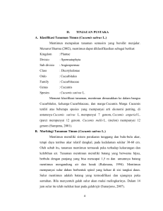 4 II. TINJAUAN PUSTAKA A. Klasifikasi Tanaman Timun ( Cucumis