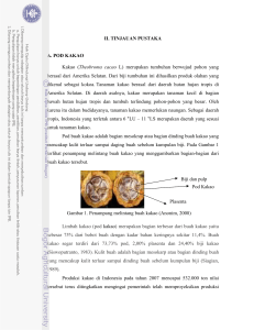 II. TINJAUAN PUSTAKA A. POD KAKAO Kakao