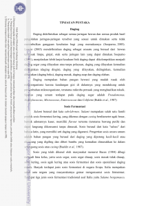 3 TINJAUAN PUSTAKA Daging Daging