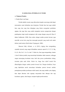 II. KERANGKA PENDEKATAN TEORI A. Tinjauan