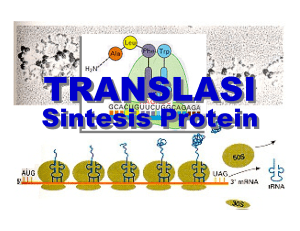 Translasi