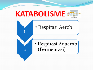 metabolisme sel