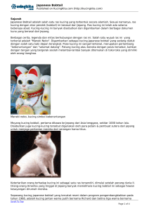 Japanese Bobtail