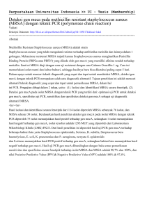 Deteksi gen meca pada methicillin resistant staphylococcus aureus