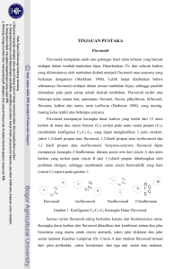 Isolasi Komponen Bioaktif Flavonoid dari Tanaman Daun Dewa