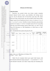 tinjauan pustaka