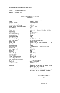 DESKRIPSI MENTIMUN VARIETAS NDHARU 01 Asal : CV. Aura